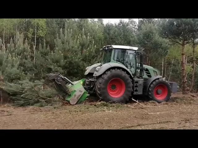 Ile kosztuje mulczowanie terenu? Sprawdź ceny i czynniki wpływające na koszty