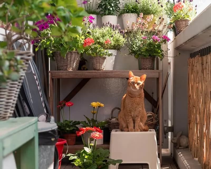 Jak urządzić balkon w bloku - praktyczne pomysły na małą przestrzeń